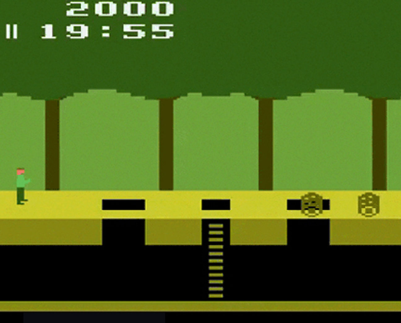 Watch out for the alligators!